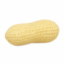Antistress Φυστίκι Peanut Βαζελίνης